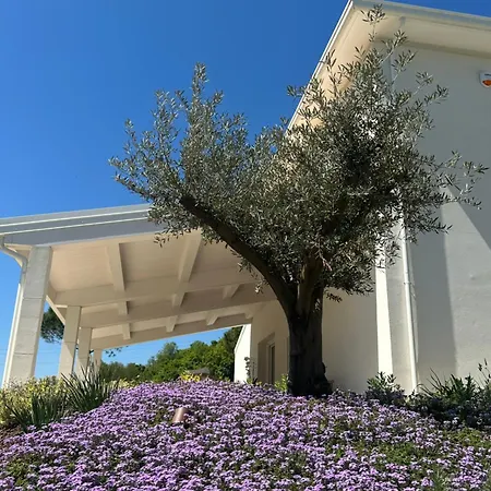 Carlantonio - Rimini *
